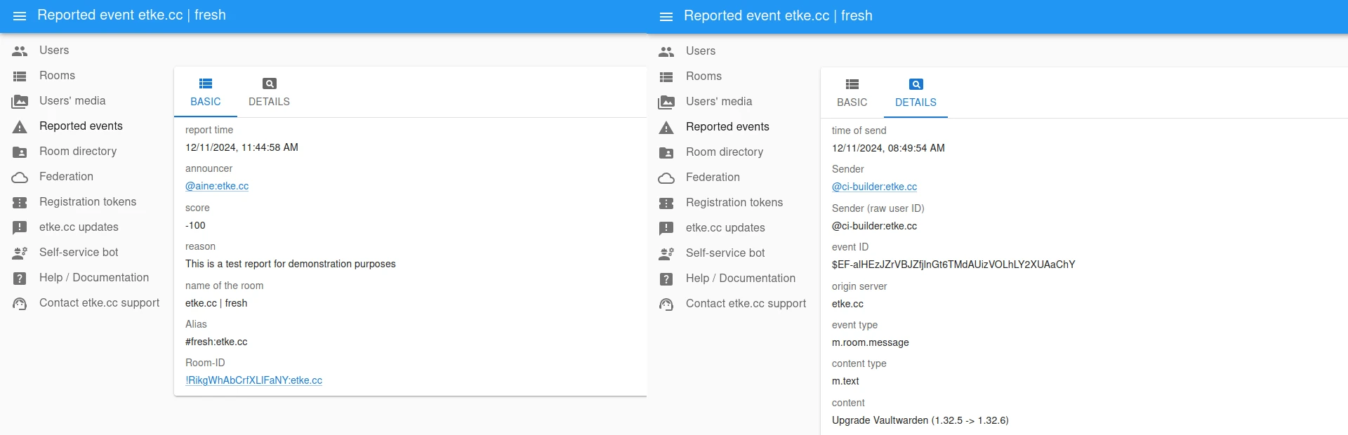 Synapse Admin Report View Page